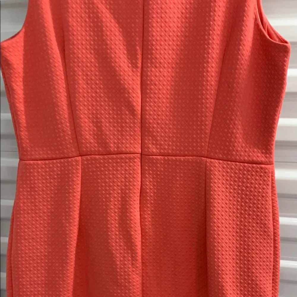 Liz Claiborne Orange Pink Sleeveless Sheath Dress - Picture 11 of 12